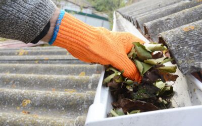 Why Regular Gutter Cleaning Prevents Roof Leaks and Foundation Damage in Charlotte Homes
