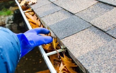 How Often Should You Clean Your Gutters?