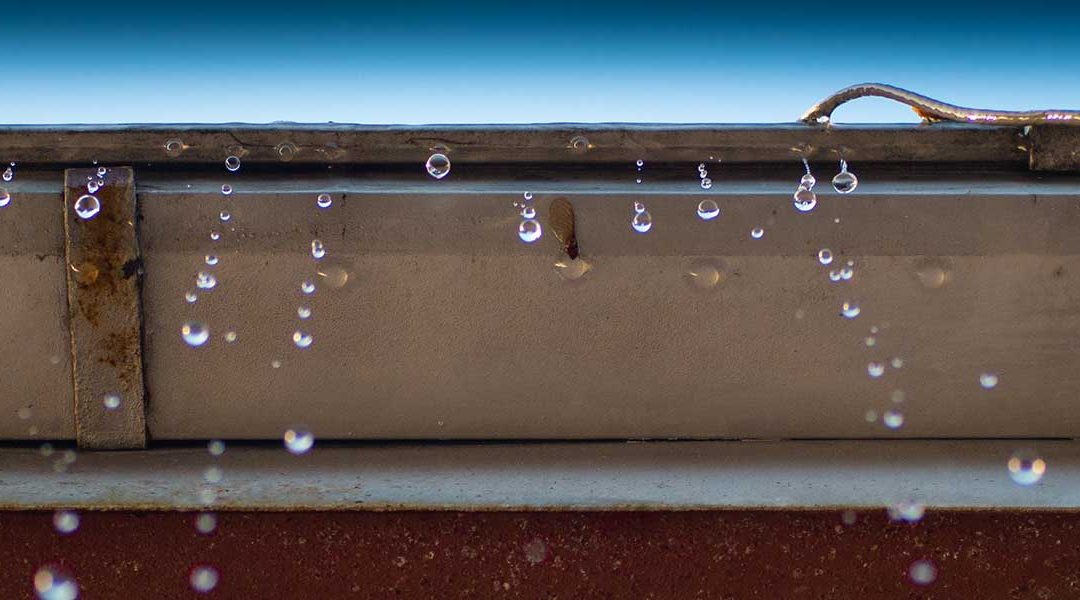Six Signs Your Gutters Need Urgent Repair