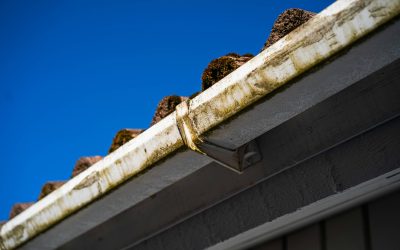 The Best Time of Year for Gutter Cleaning in Charlotte NC: A Seasonal Maintenance Guide